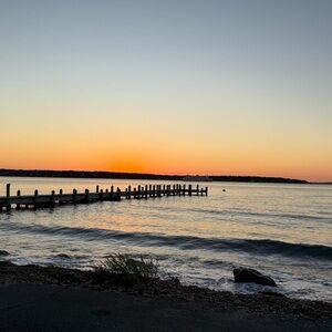 Meet your Posher, Holly